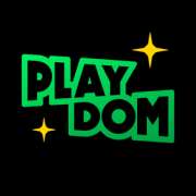 Казино Playdom Casino logo