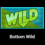 Символ Bottom Wild в Sidewinder