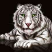 Символ Белый тигр в Respin Rhino