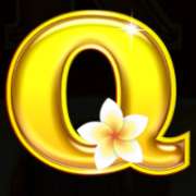 Символ Q в Roo Riches
