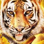 Символ Тигр в Big Cat Rescue Megaways