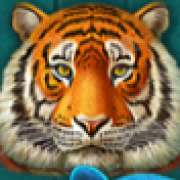 Символ Тигр в Super Cats