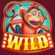 Символ Wild в Wild Circus