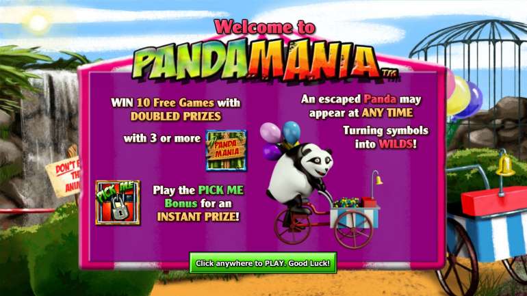 Помешательство на пандах