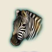 Символ Zebra в The Wildlife