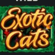 Символ WILD в Exotic Cats