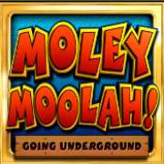 Символ Логотип в Moley Moolah