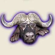 Символ Buffalo в The Wildlife