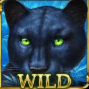 Символ Wild в Blue Panther