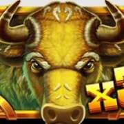 Символ Wild X3 в Wild Bison Charge