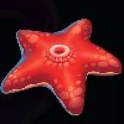 Символ Морская звезд в Wild Depths