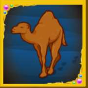 Символ Верблюд в Arabian Nights