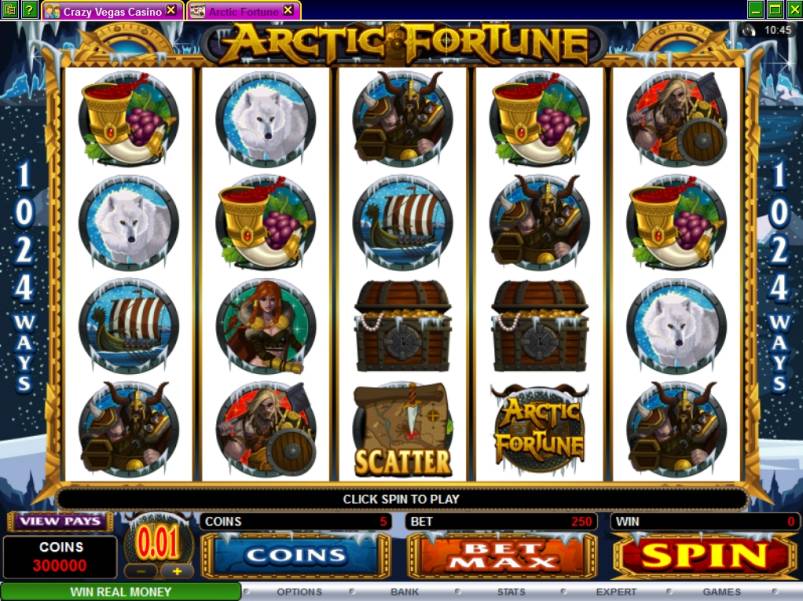 Arctic Fortune