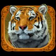 Символ Тигр в Exotic Cats