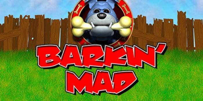 Barkin’ Mad