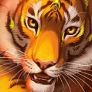 Big Cat King Megaways: Тигр