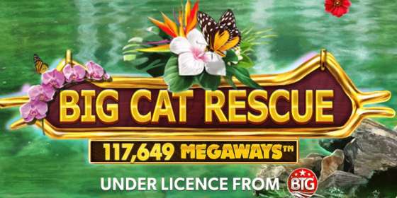 Big Cat Rescue Megaways (Red Tiger) обзор