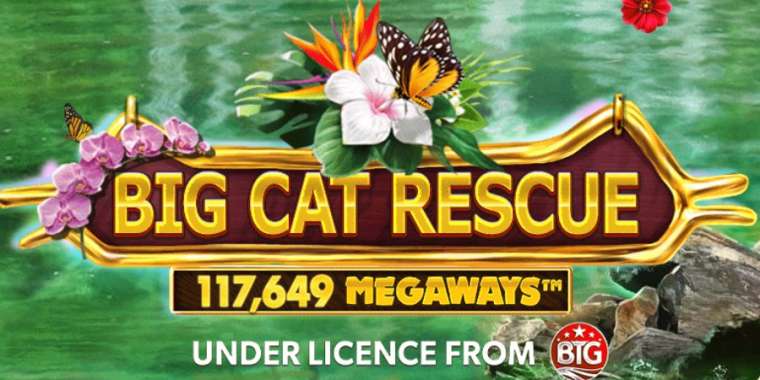 Онлайн слот Big Cat Rescue Megaways играть