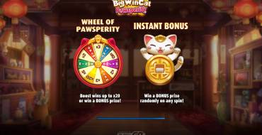 Big Win Cat Pawsperity: Уникальные функции