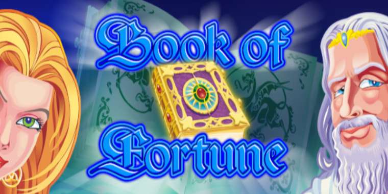 Видео покер Book of Fortune демо-игра