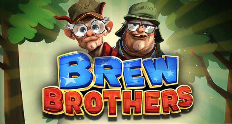 Видео покер Brew Brothers демо-игра
