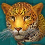 Символ Леопард в Super Cats