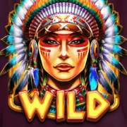 Символ Wild в Apache Way