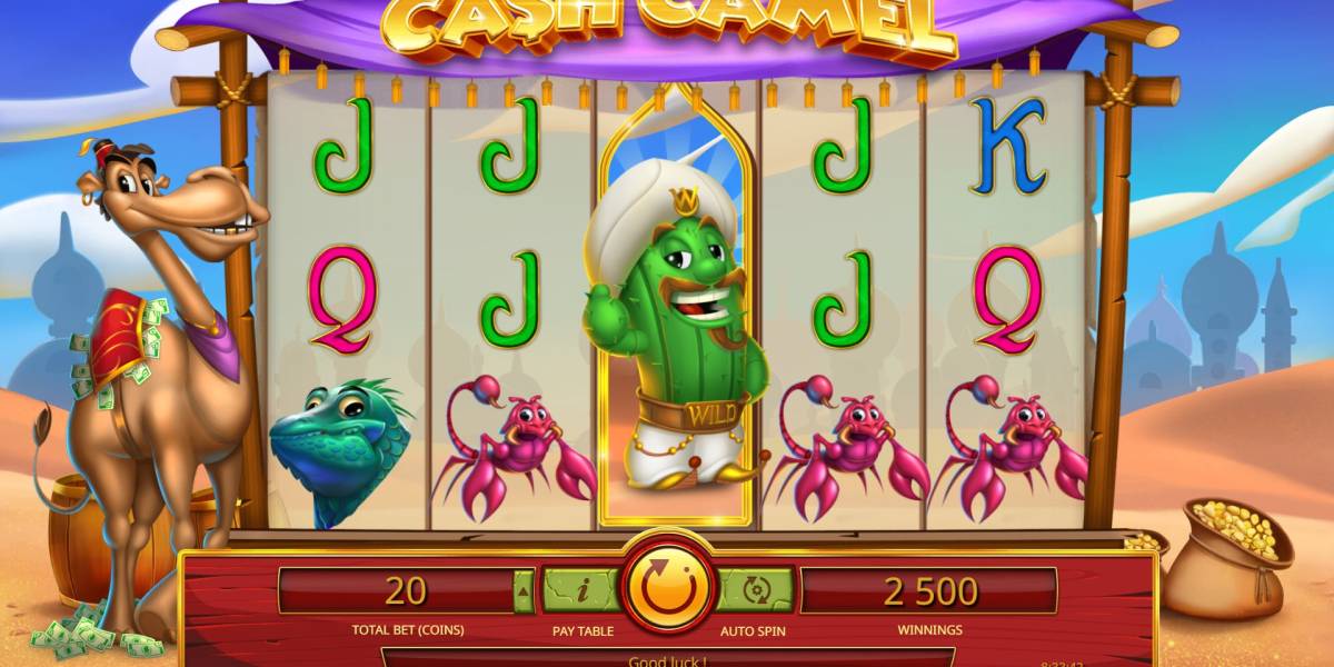 Cash Camel