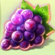 Символ Виноград в Lady Fruits 20
