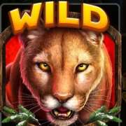 Символ Wild в Cougar Cash