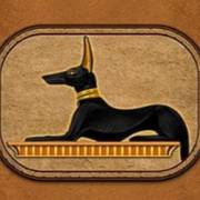 Eye of Horus Jackpot King: Собака