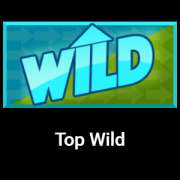 Символ Top Wild в Sidewinder