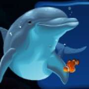 Символ Дельфин в Dolphin Quest