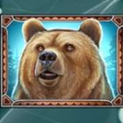 Символ Медведь в Wild North