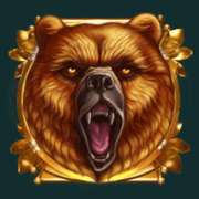 Символ Медведь в Druids’ Dream