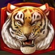Символ Тигр в Tiger’s Glory