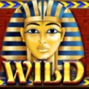 Символ Wild в Egyptian Sands