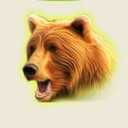 Символ Bear в The Wildlife