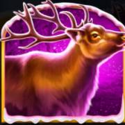 Fire Blaze Golden: Tundra Wolf: Олень