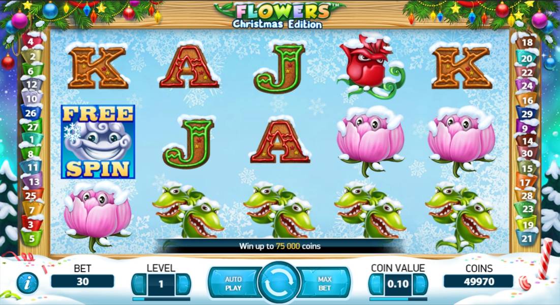 Flowers: Christmas Edition