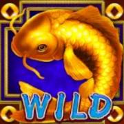 Golden Fish: Wild