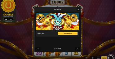 Lucky 1000 Hold & Win: Уникальные функции