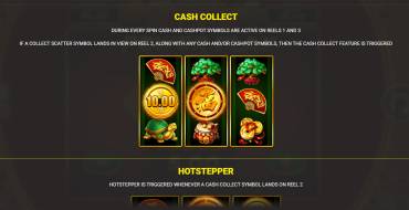 Lucky Fire Blitz Hotstepper: Бонусные игры
