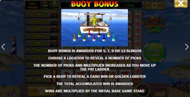 Lucky Larry`s Lobstermania Slingo: Уникальные функции