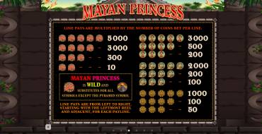 Mayan Princess: Символы