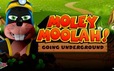 Moley Moolah