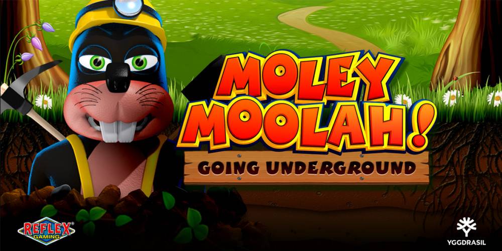 Moley Moolah