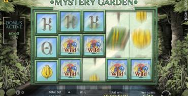 Mystery Garden: Фриспины