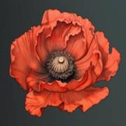 Mystery Garden: Цветок красный