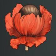 Mystery Garden: Бутон красный